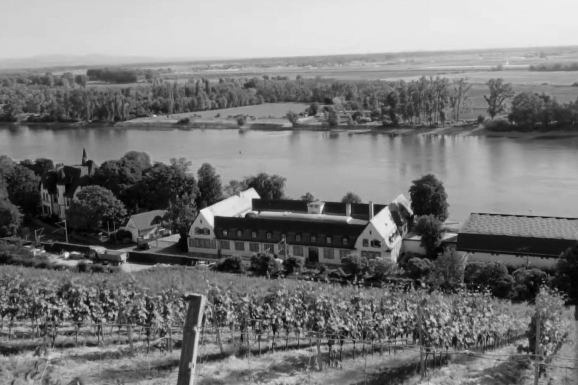 Louis Guntrum Weinkellerei