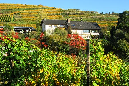 Steinhaldehof Fischer