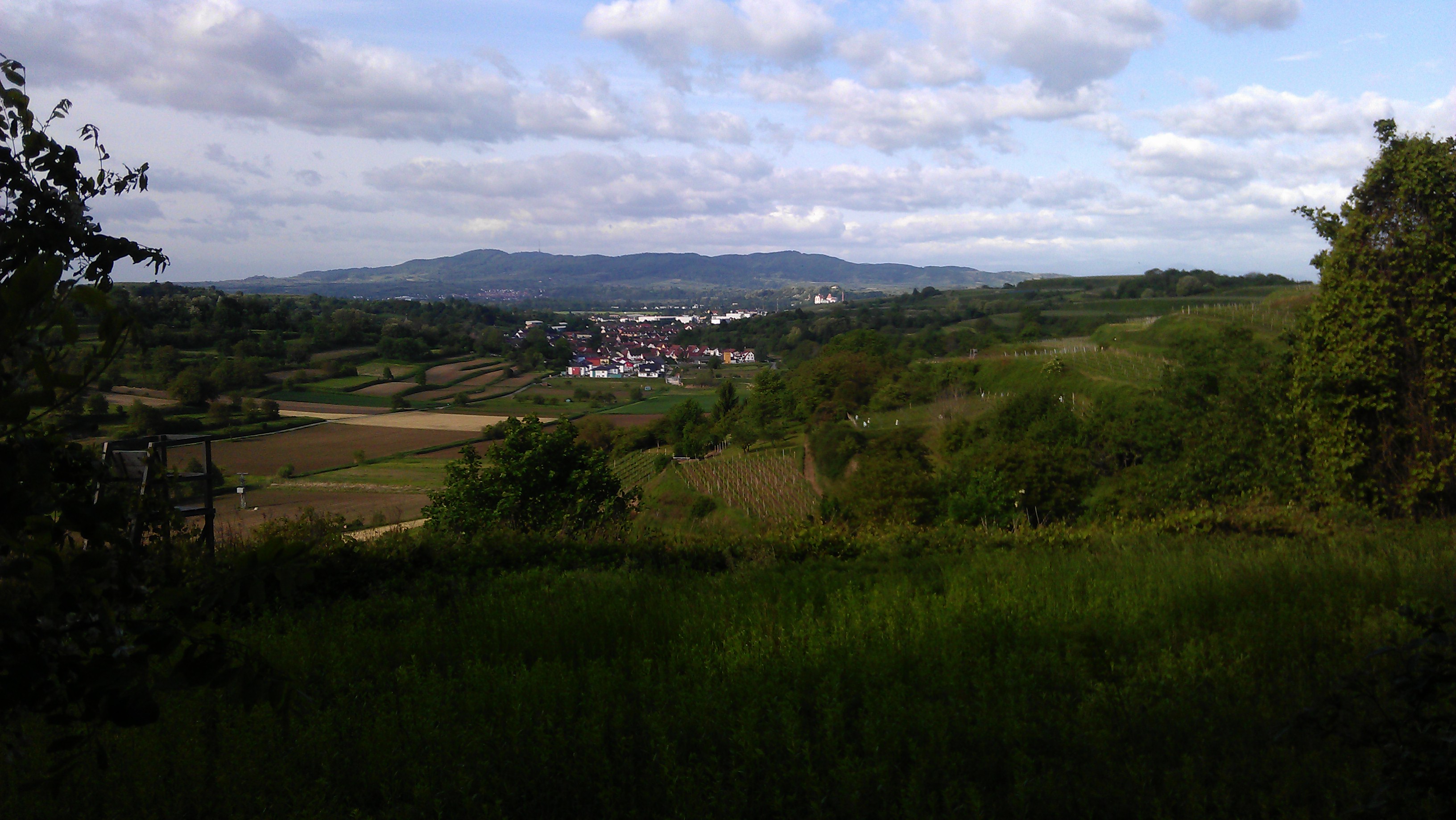 Weinbau Kern