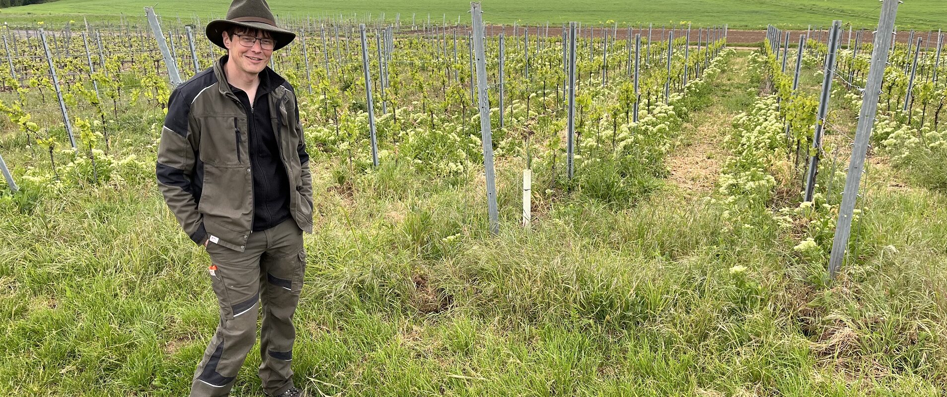 Weingut Glöckner