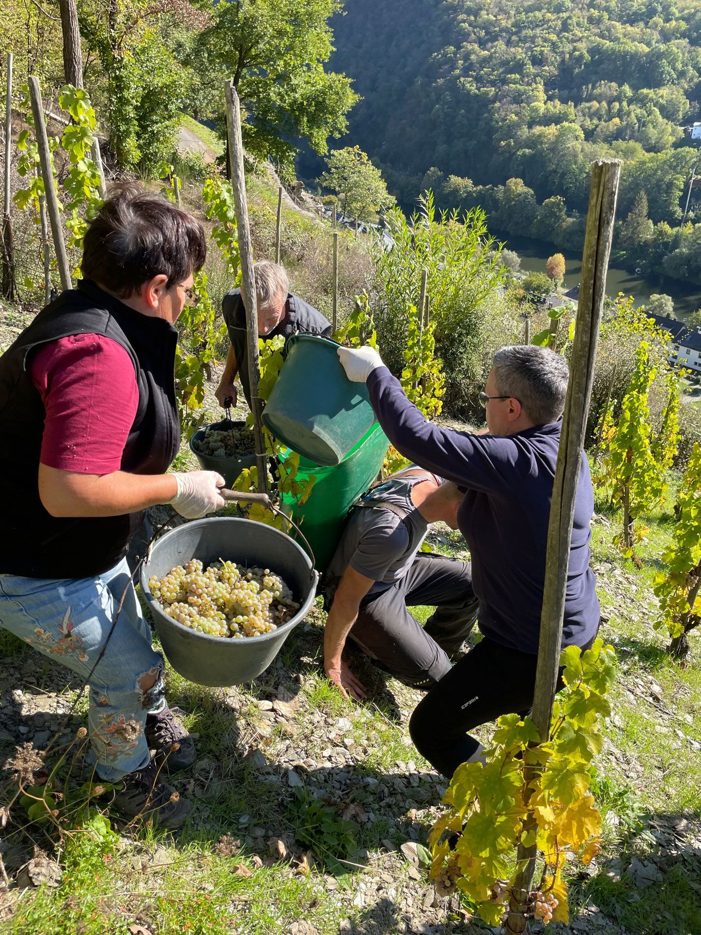 Weingut Schreiberlay