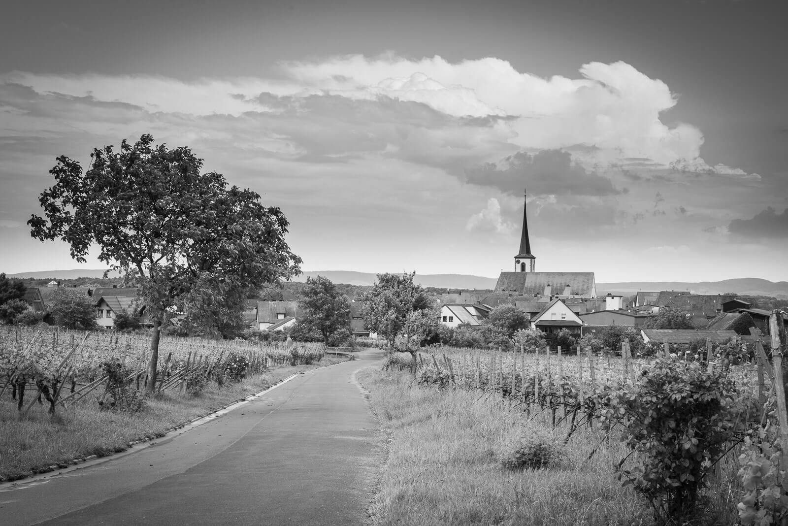 Bio-Weingut Daniel Then