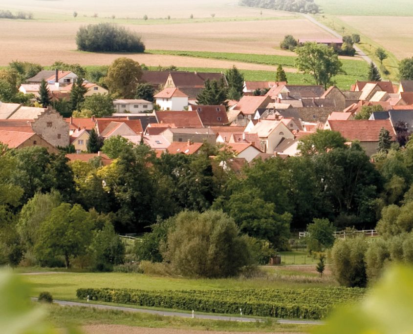 Dieter Heinz Weine GbR