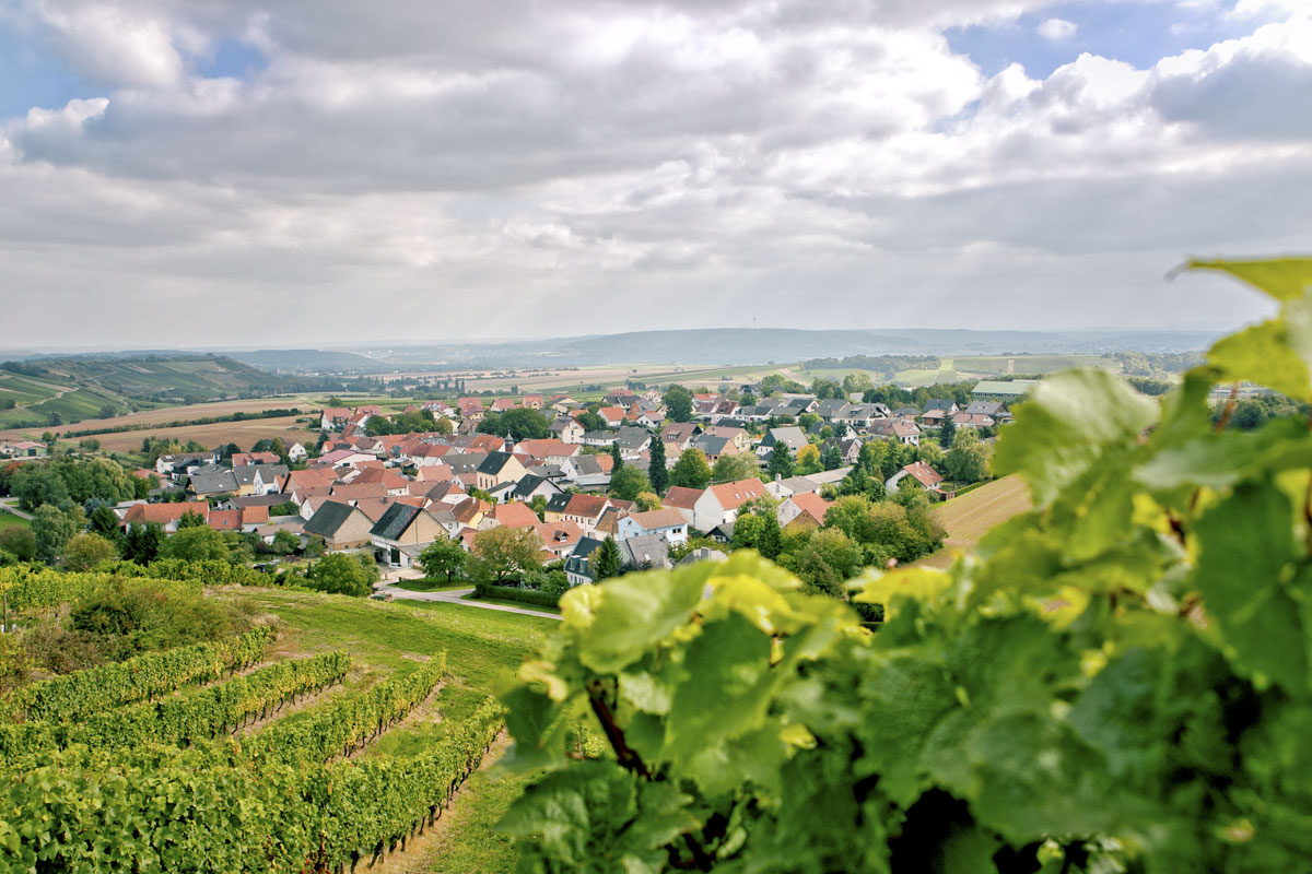 Gut Philippshof - Weingut Karl-Heinz Eckes