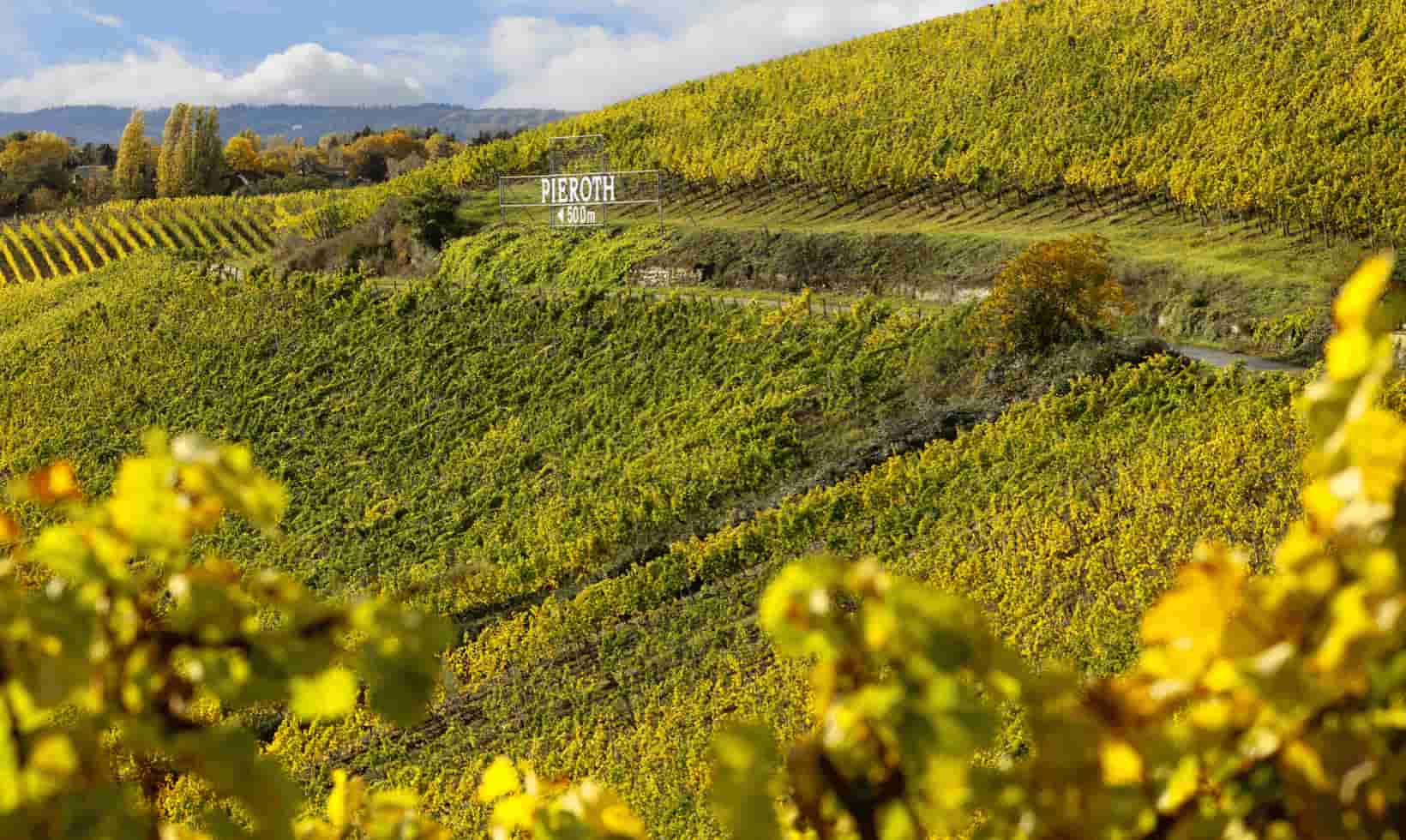 Pieroth Wein GmbH