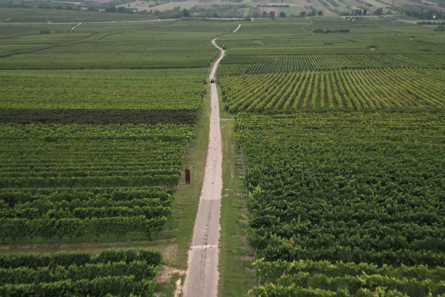Sekt & Weingut Rückershäuser