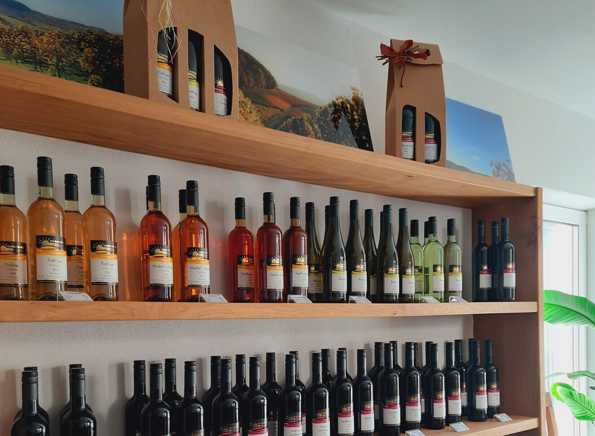 Weinbau und Weinstube Schluchter