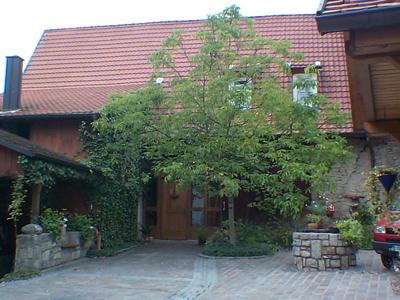 Weingut A. Keller