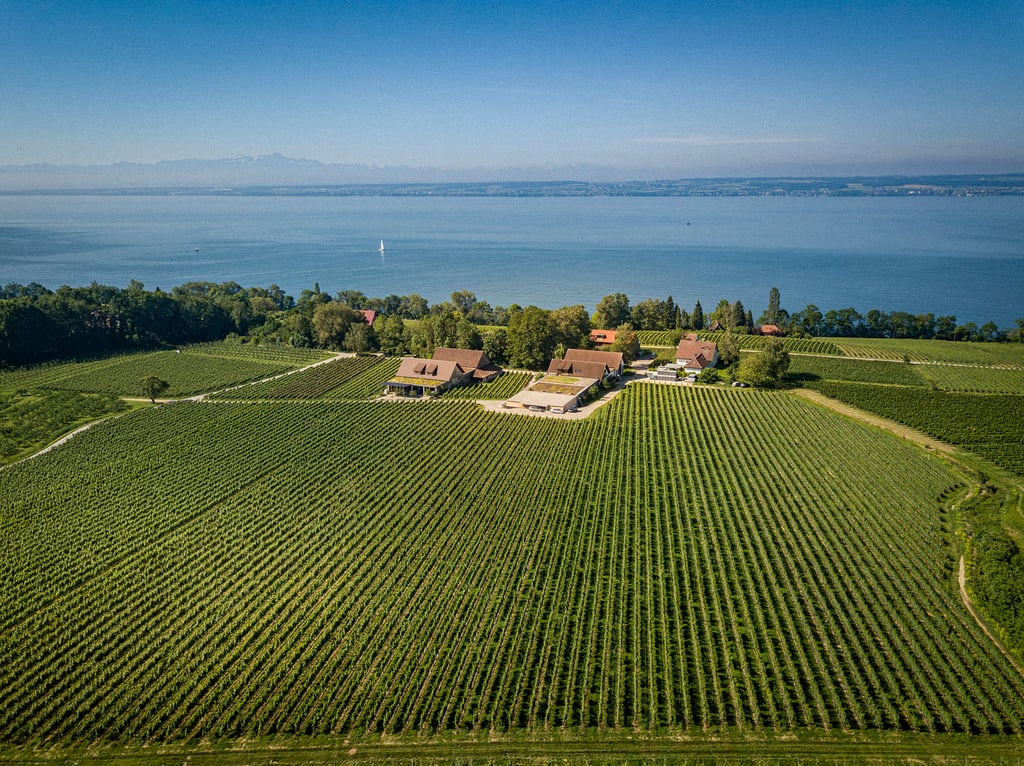 Weingut Aufricht