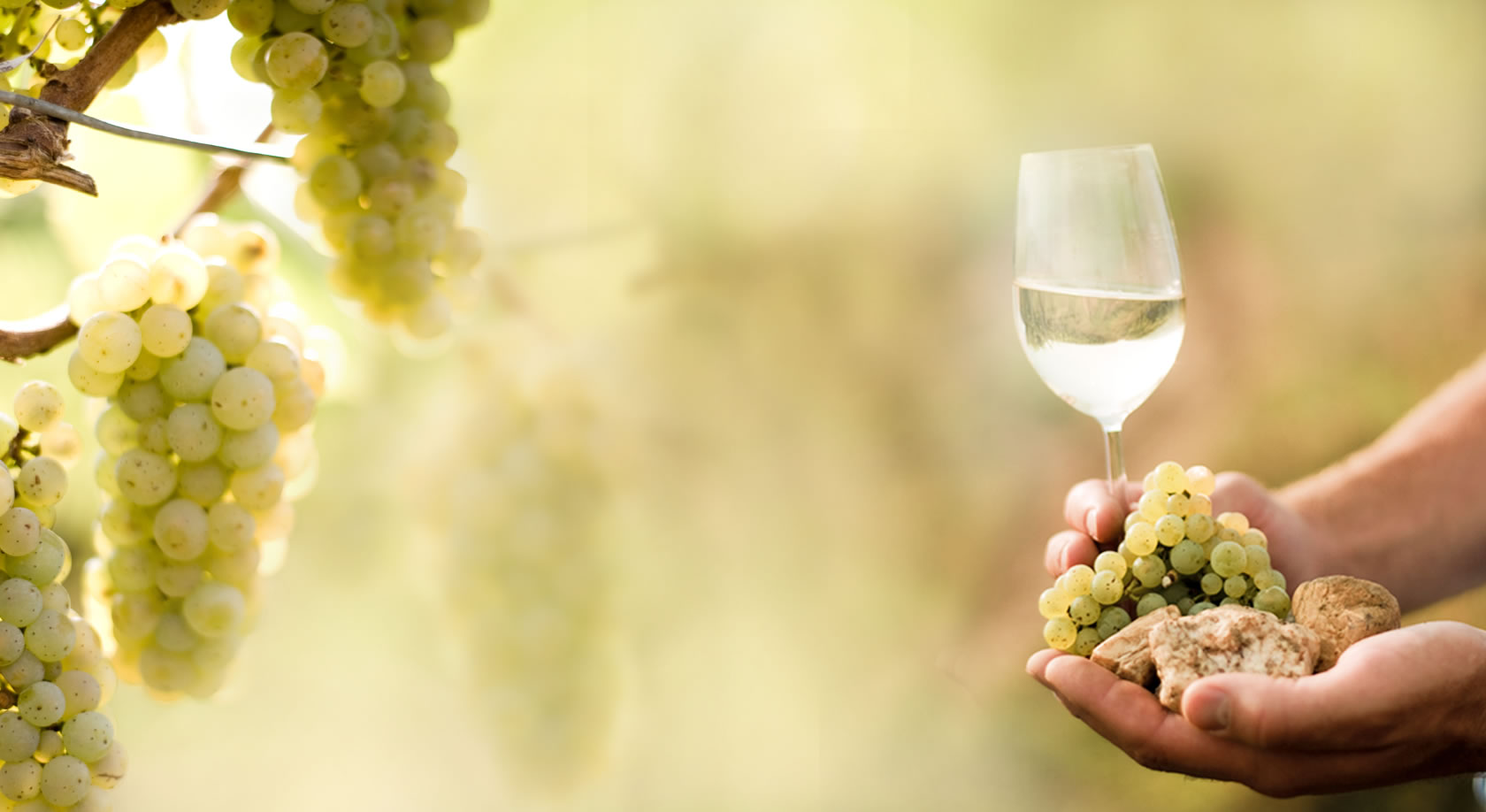 Weingut Barth