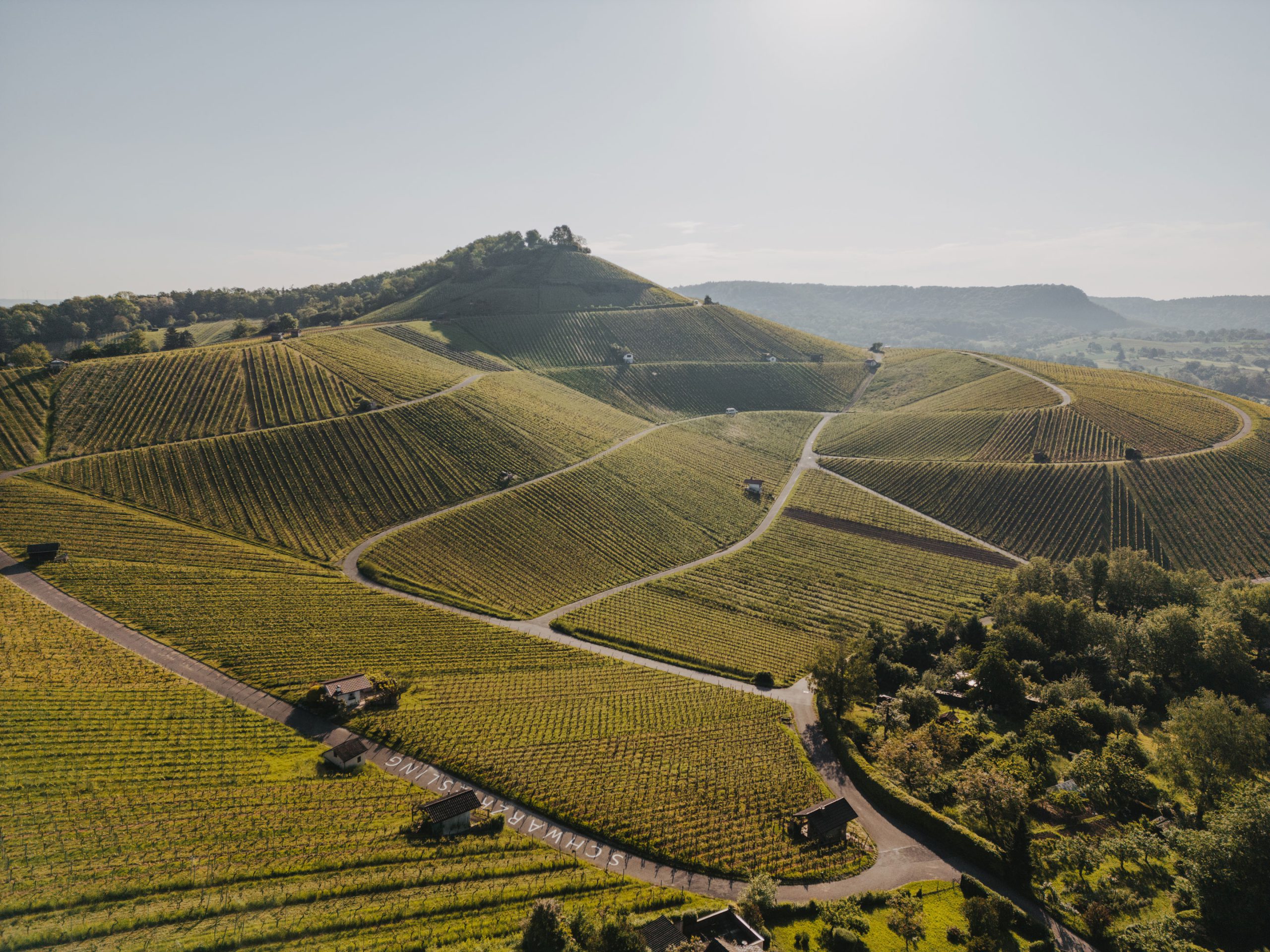 Weingut Berthold