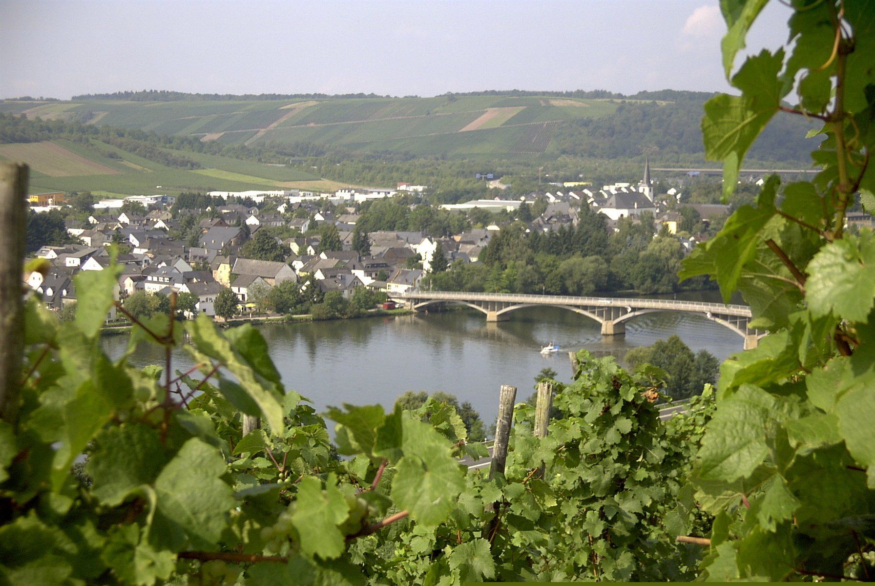 Weingut Bläsius-Geiben