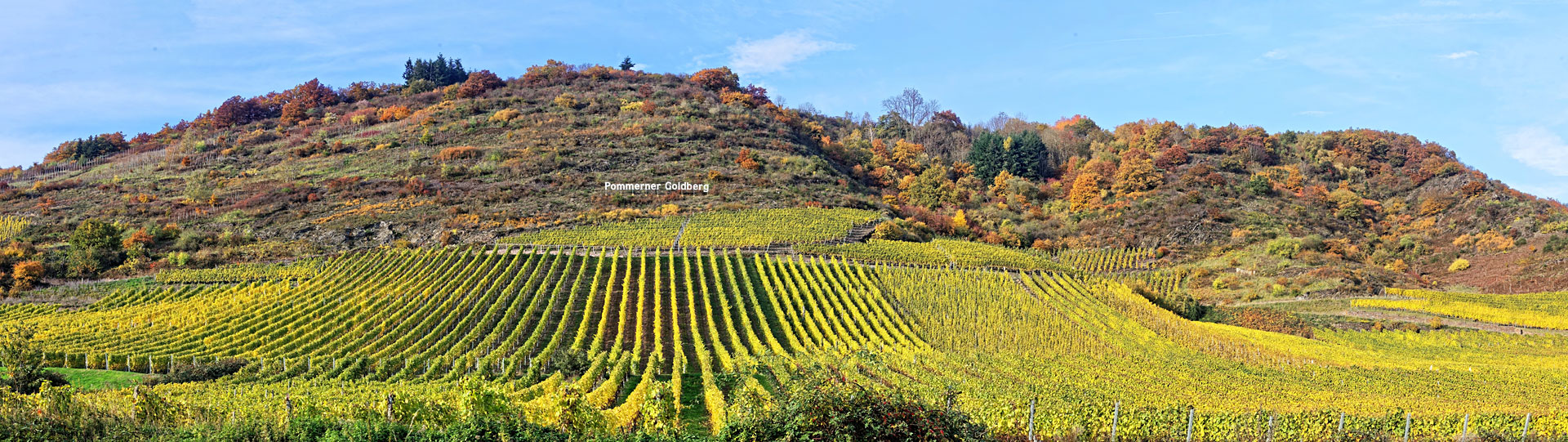 Weingut Blenz
