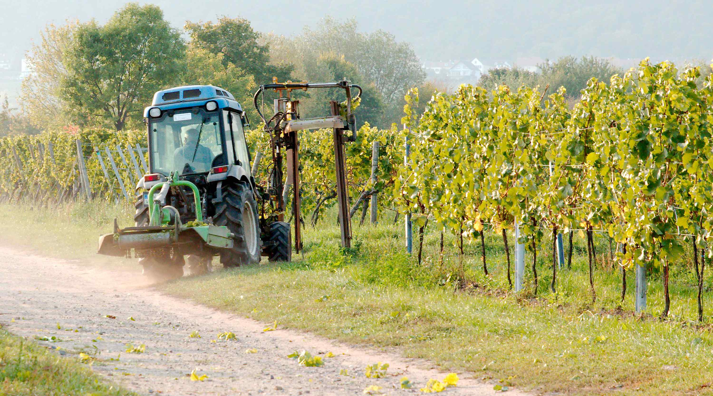 Weingut Buchert