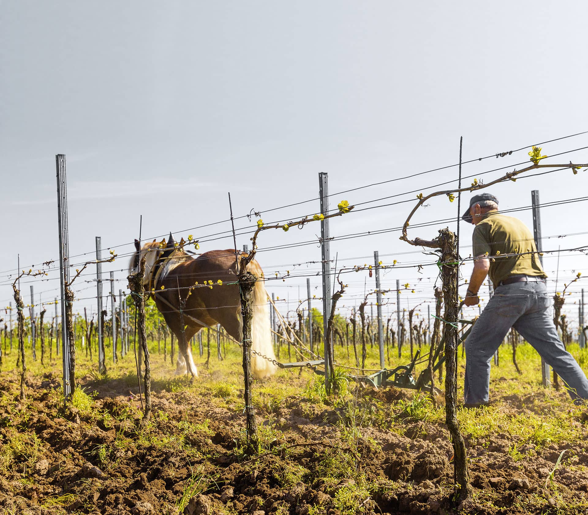Weingut Christian Heußler