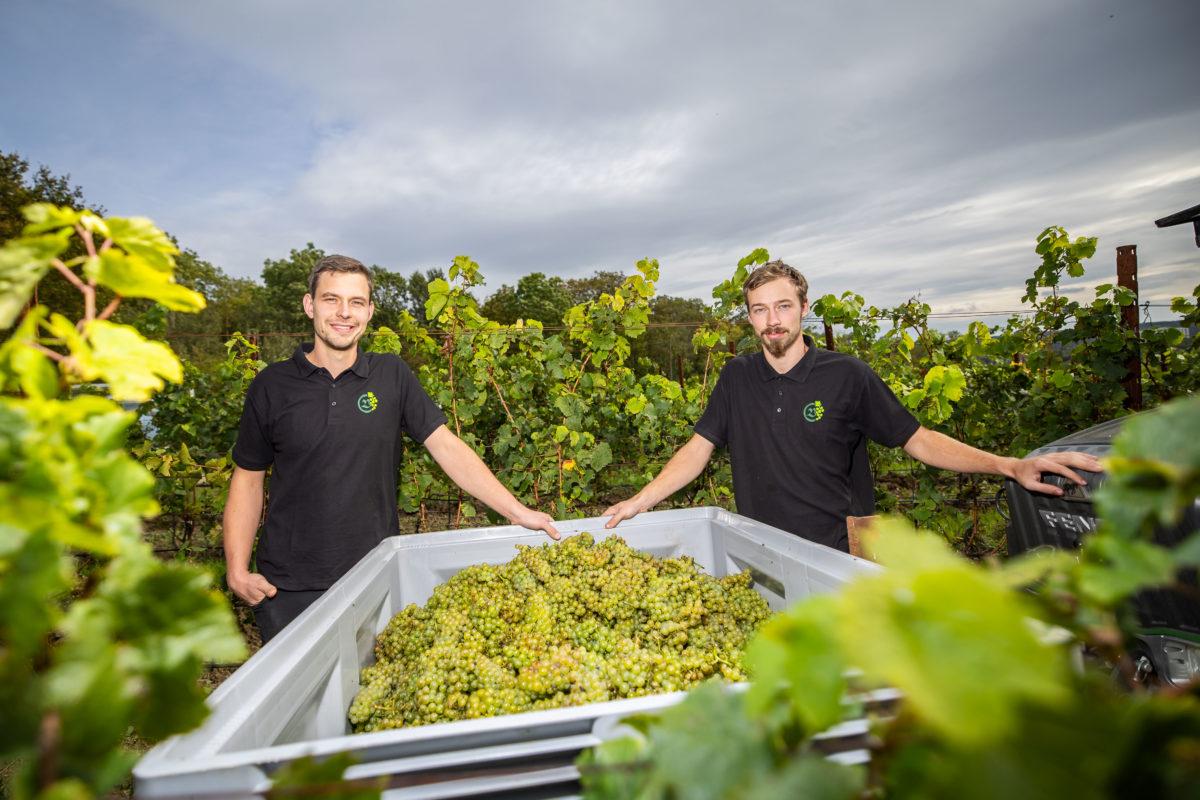 Weingut der Vereinigten Kirchen- und Klosterkammer