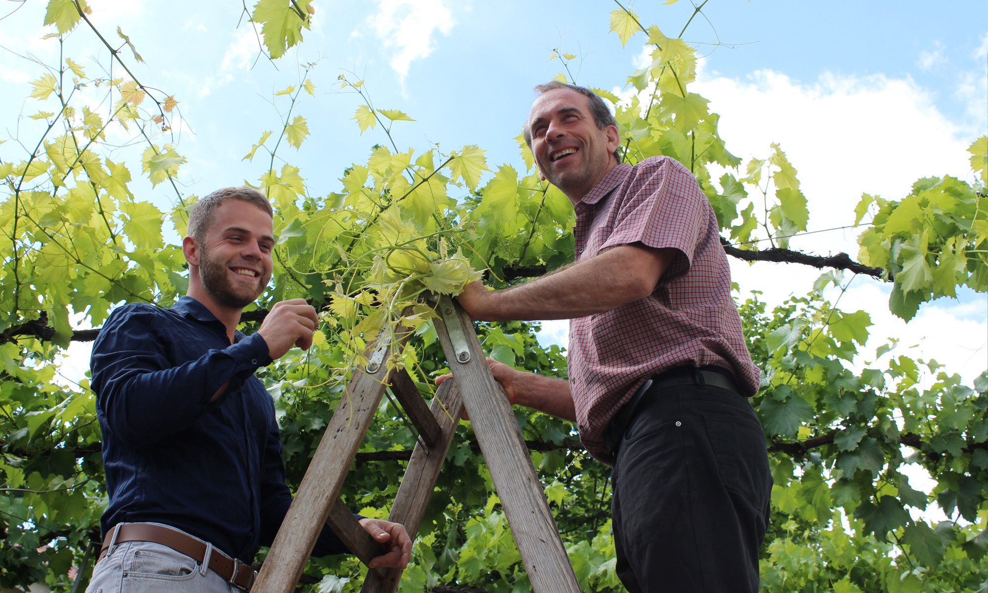 Weingut Dobler GbR