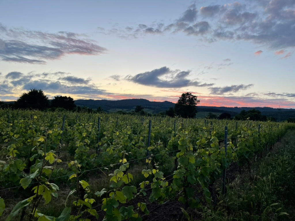 Weingut Eberling