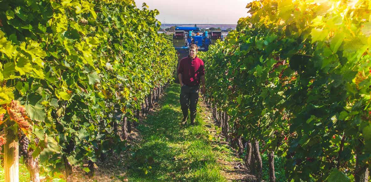 Weingut Fritz Kohl GbR
