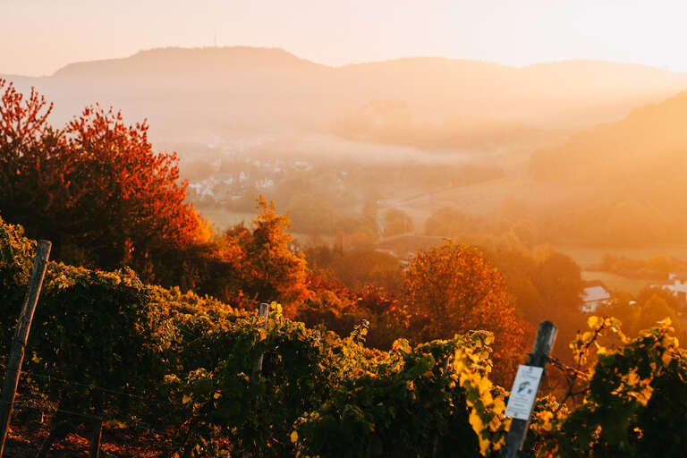 Weingut Gattung