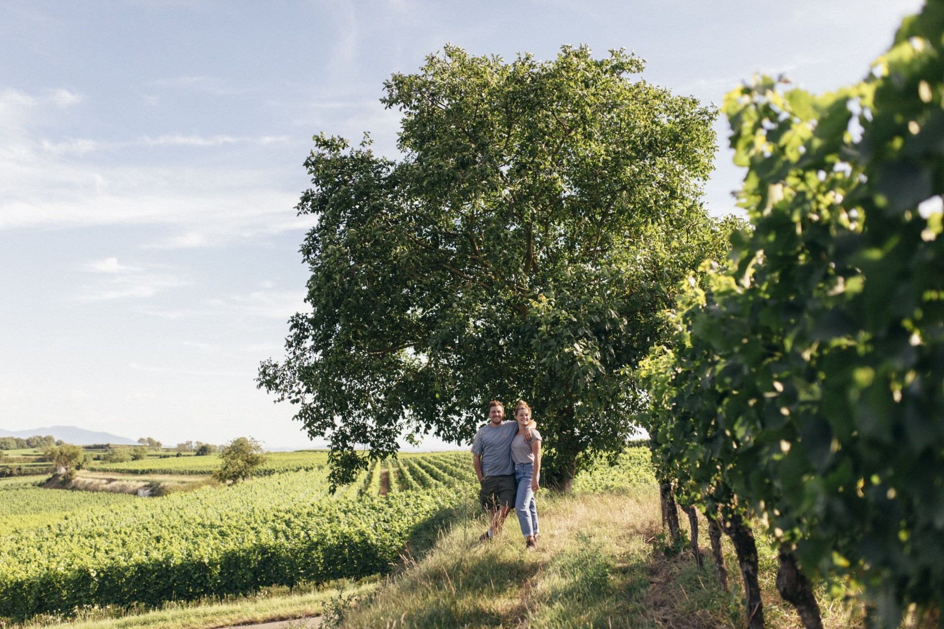 Weingut Gebrüder Mathis GmbH & Co KG
