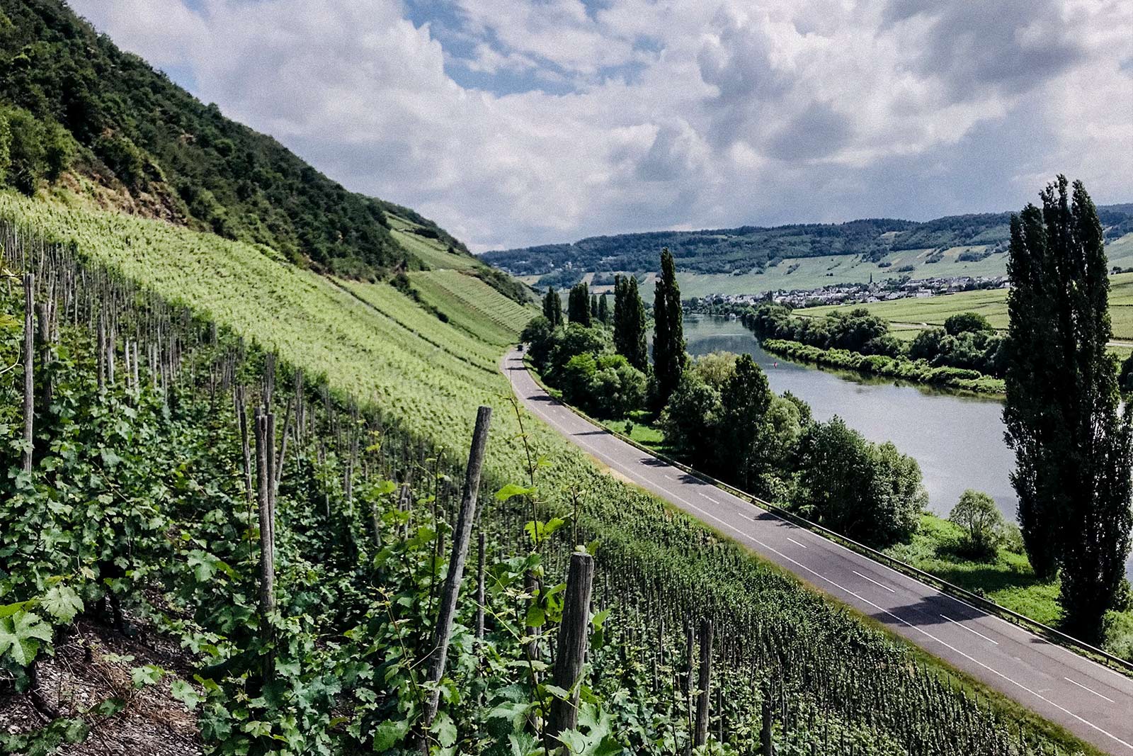Weingut Geschwister-Köwerich