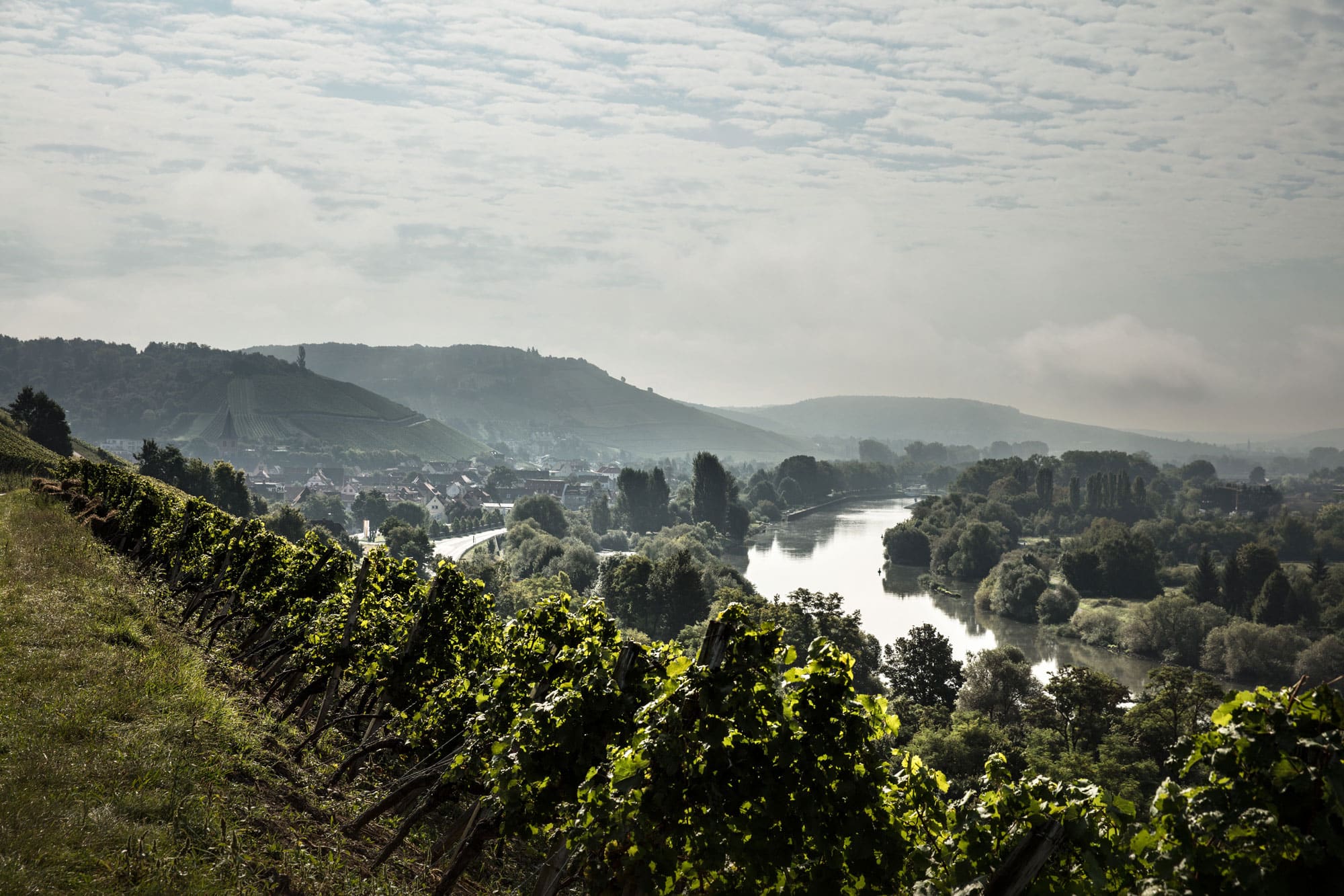 Weingut Göbel