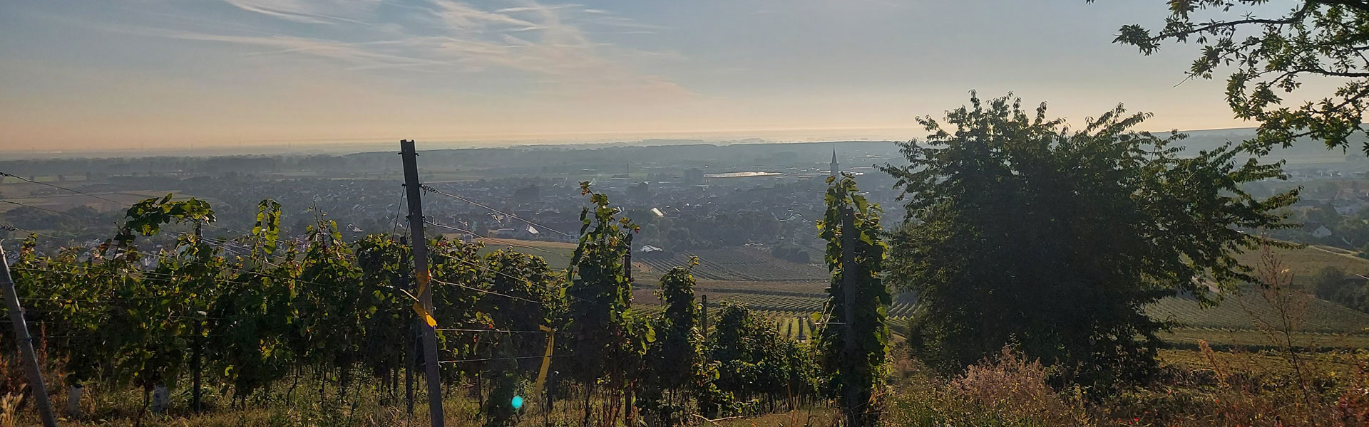 Weingut Gruber