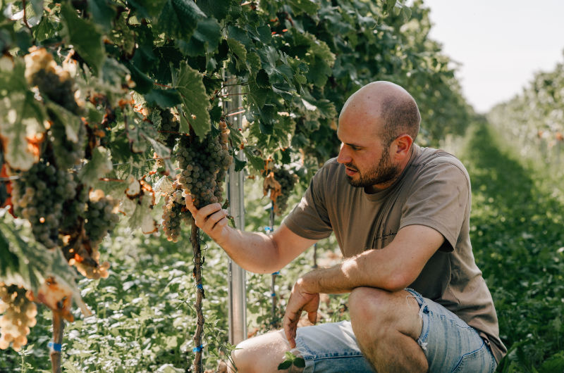 Weingut Gut von Beiden