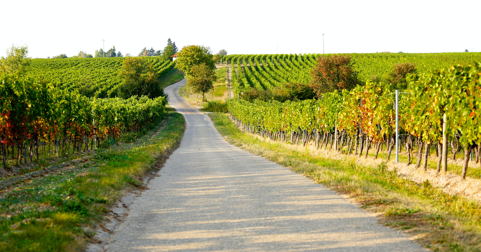 Weingut Herbert Hammel