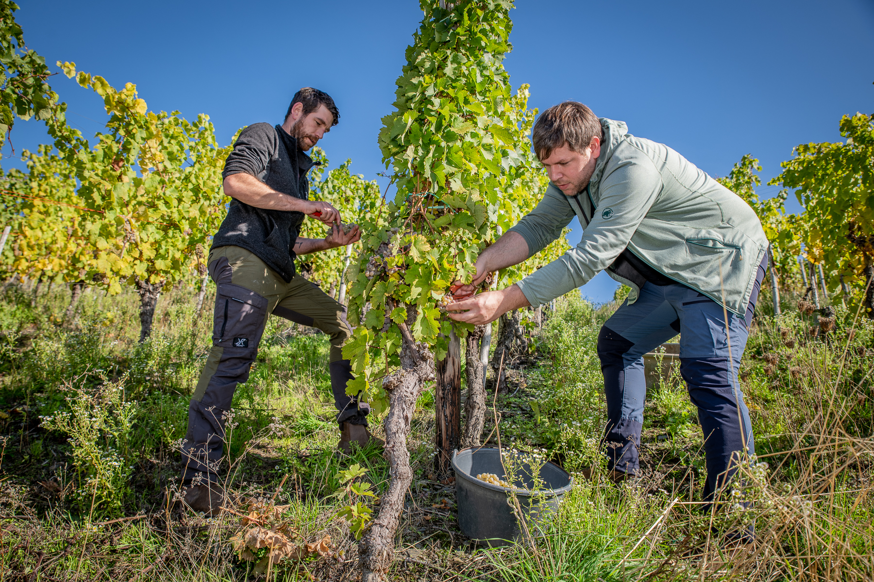 Weingut Klosterhof
