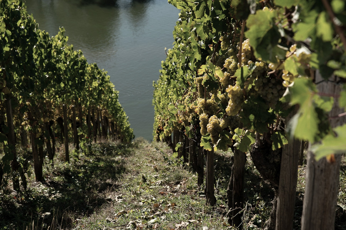 Weingut Lorenz