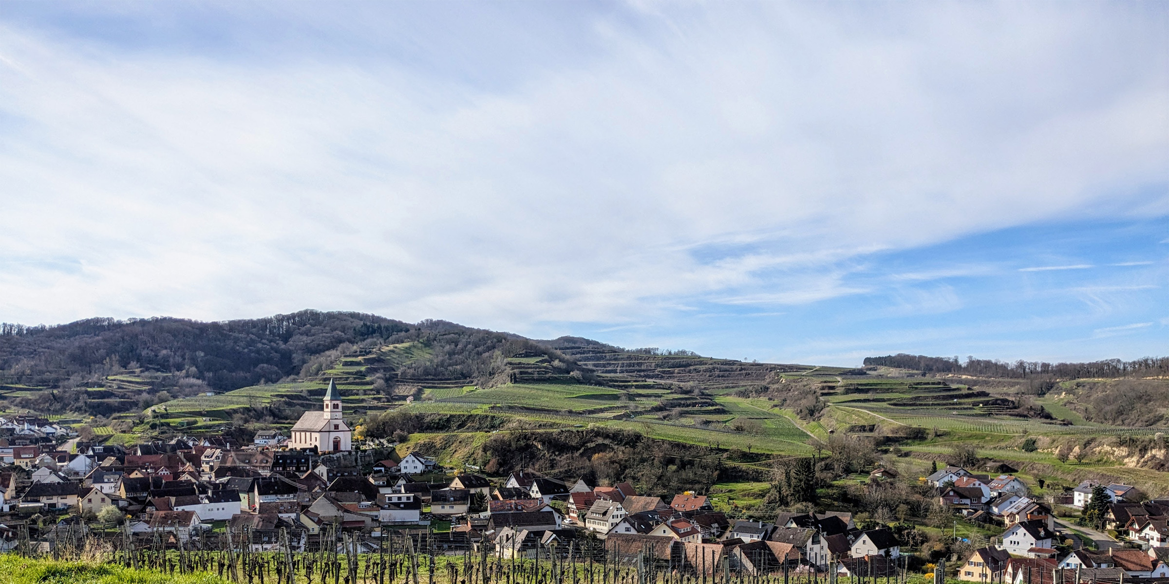 Weingut Mangel