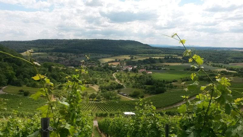 Weingut Zaiß