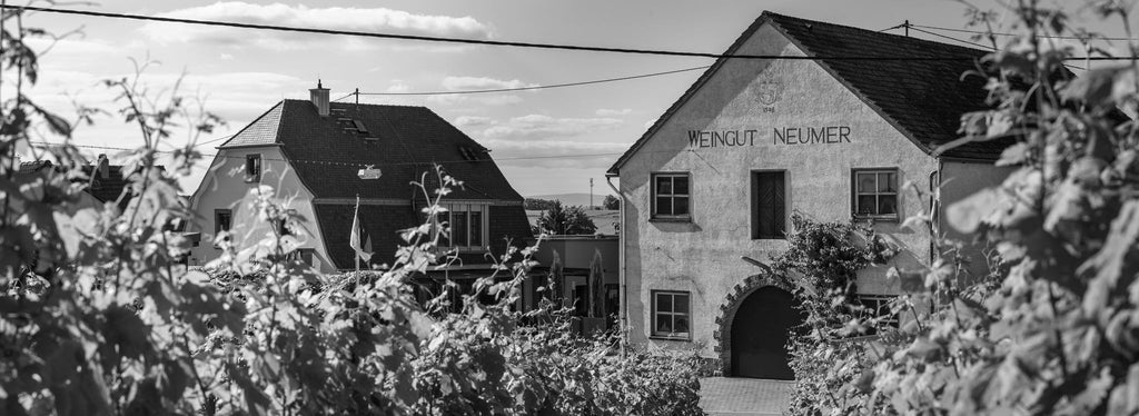Weingut Neumer