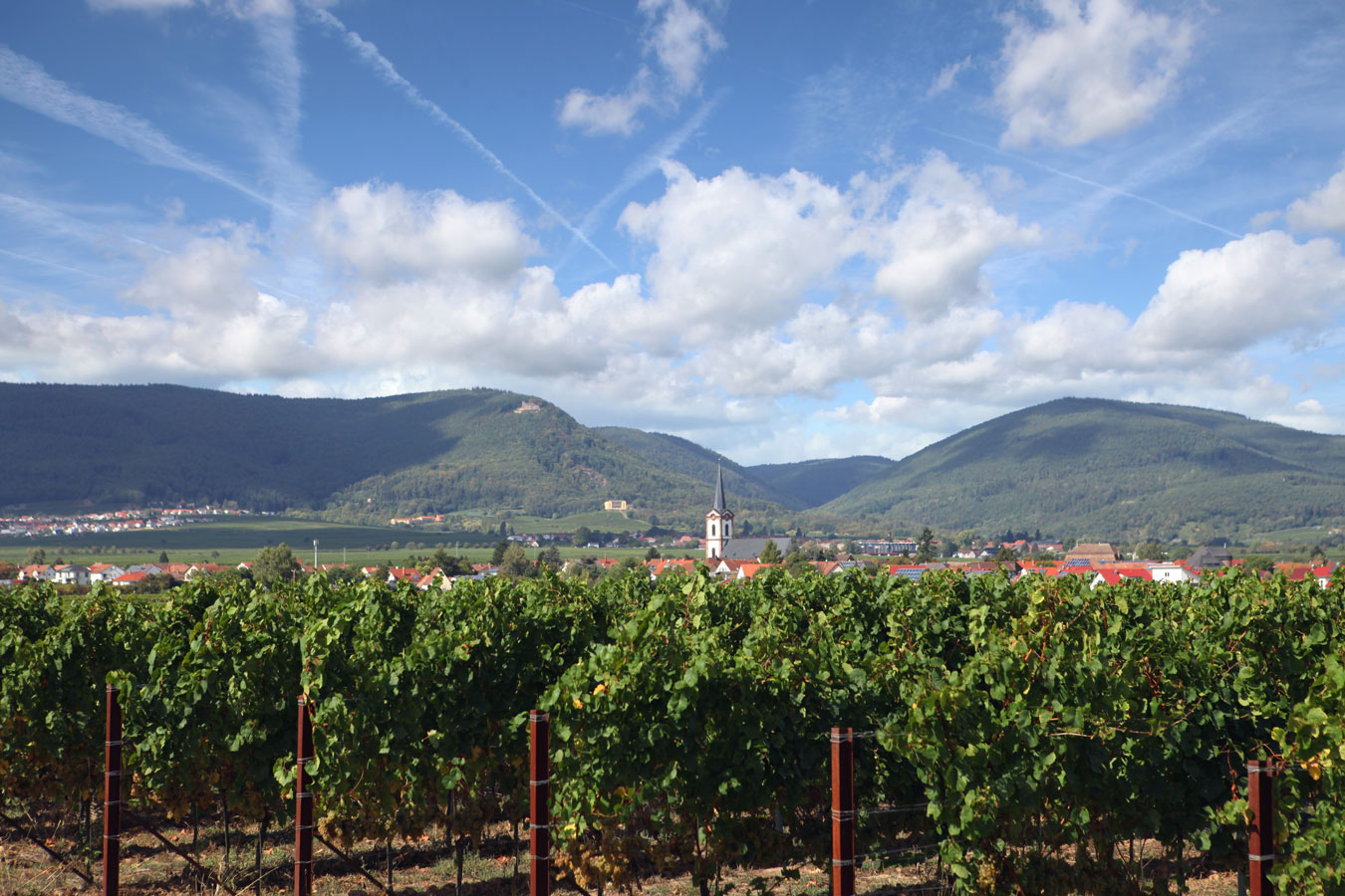 Weingut Oberhofer