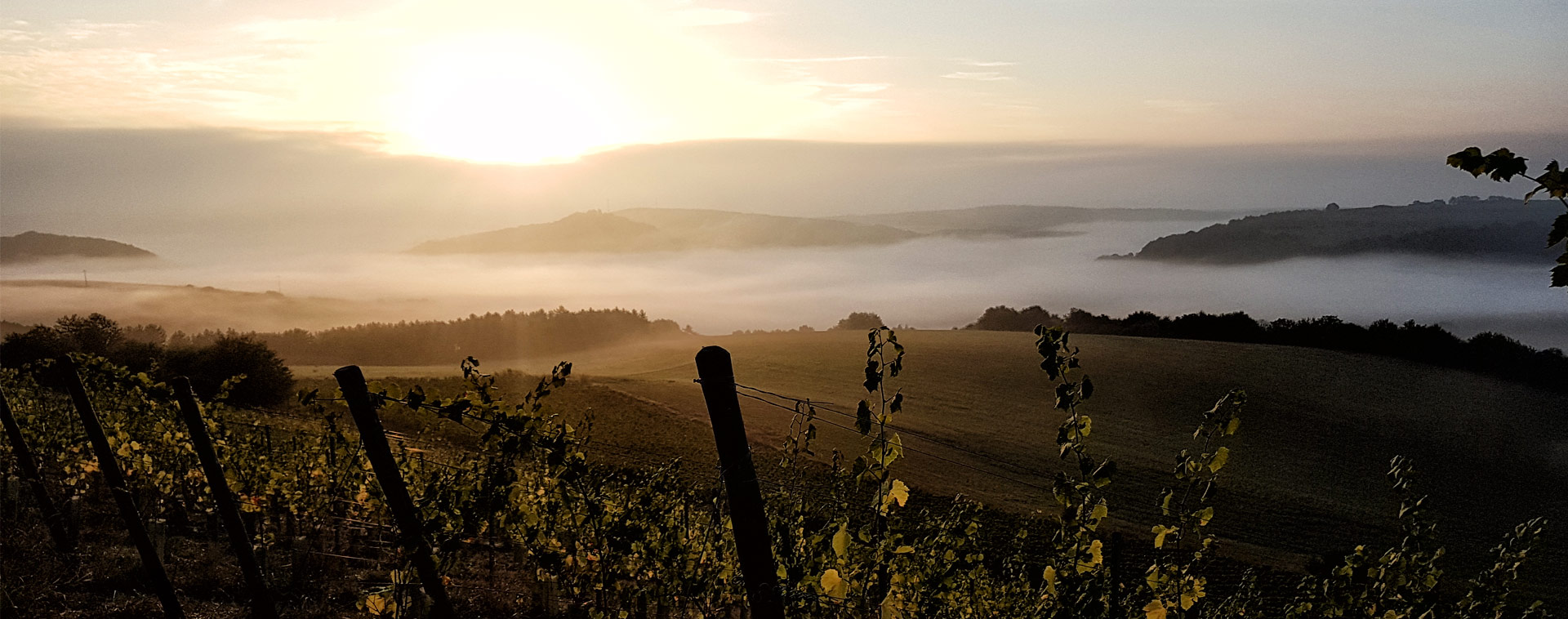 Weingut Schmidt