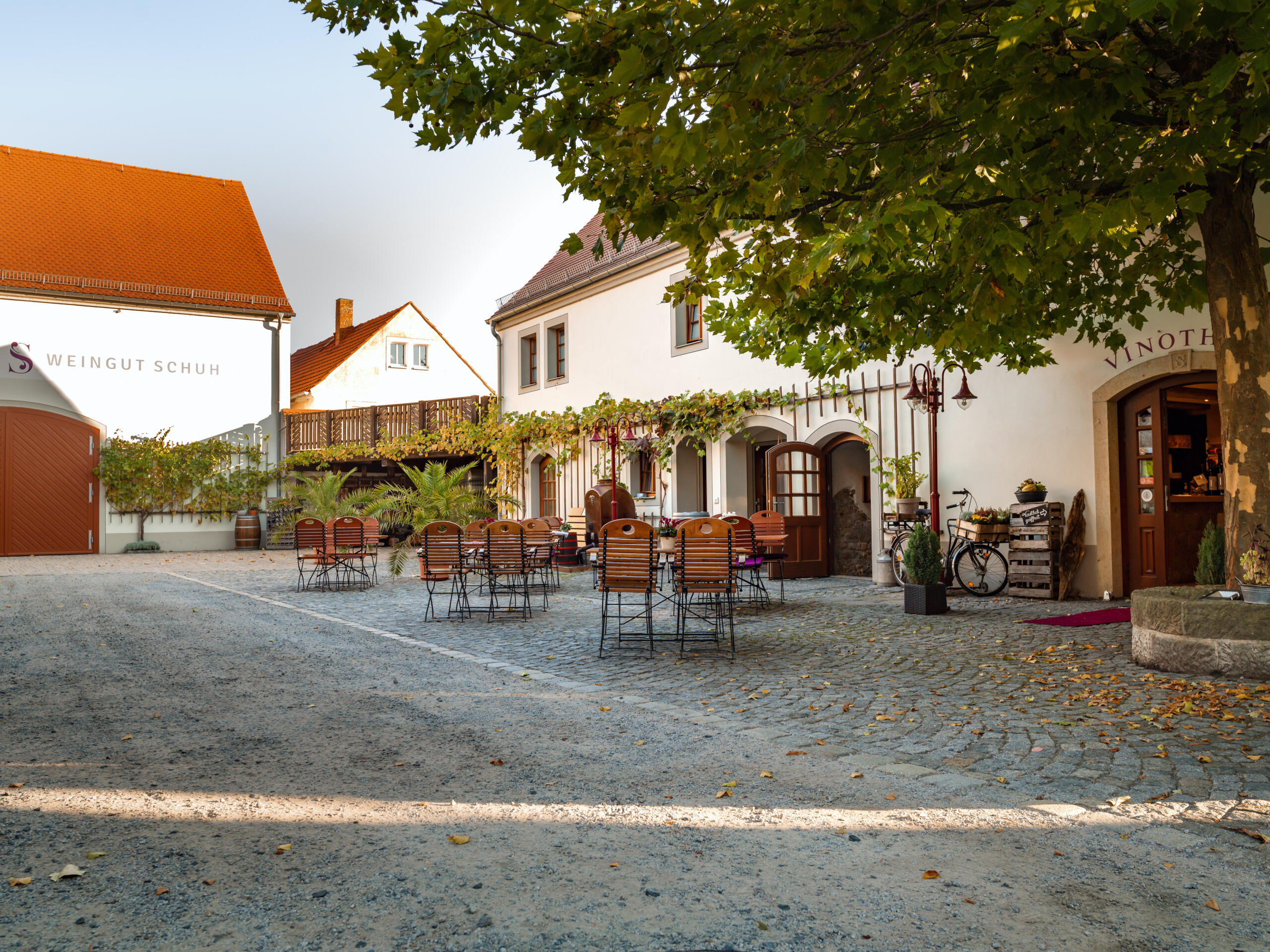Weingut Schuh
