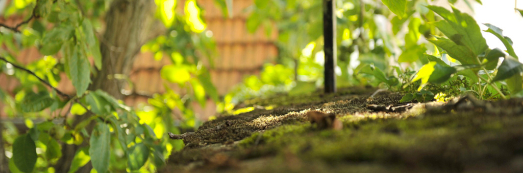 Weingut Schwan