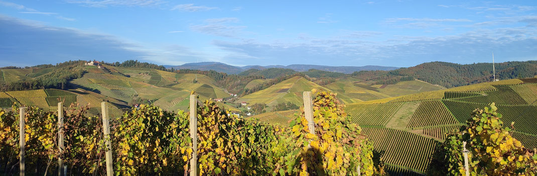 Weingut Schwörer