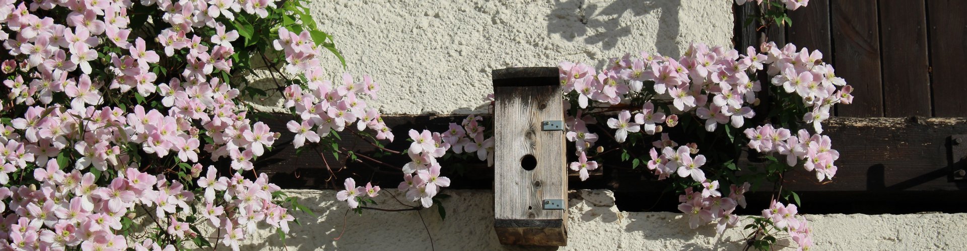 Weingut Sitzius