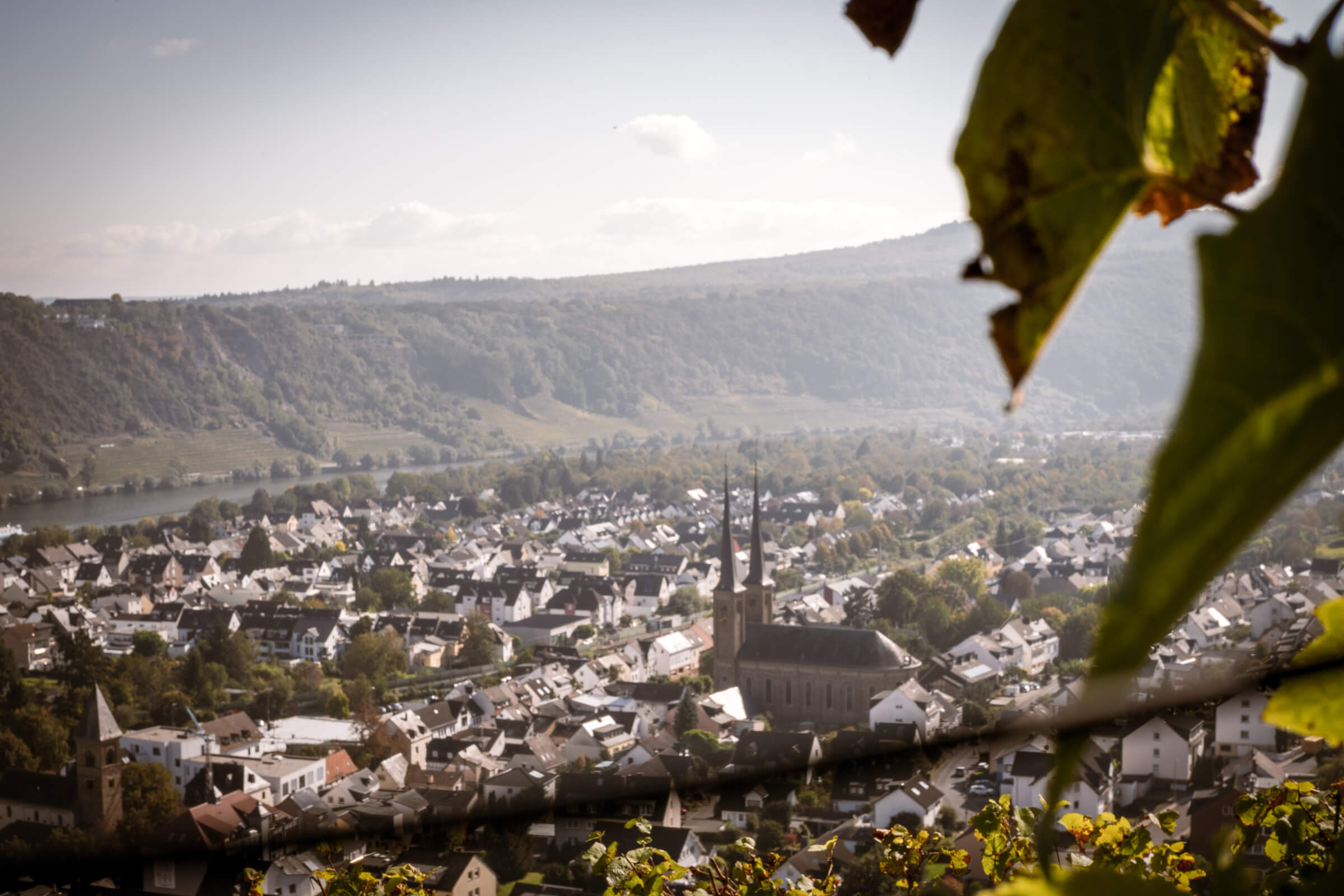 Weingut Spurzem