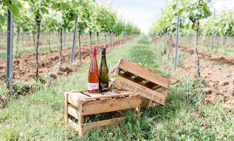 Weingut Sturm Ilbesheim
