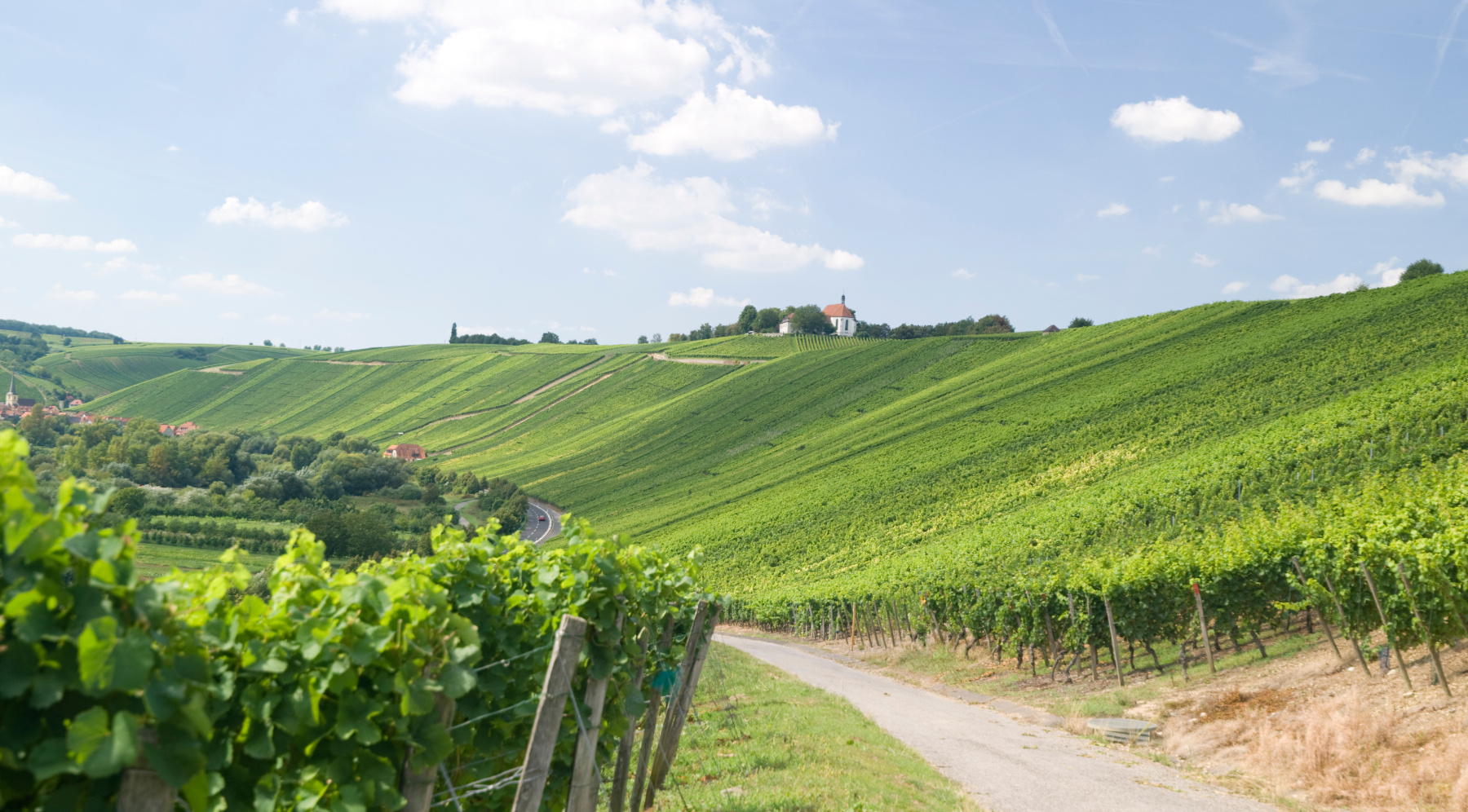 Weingut Urban Zang