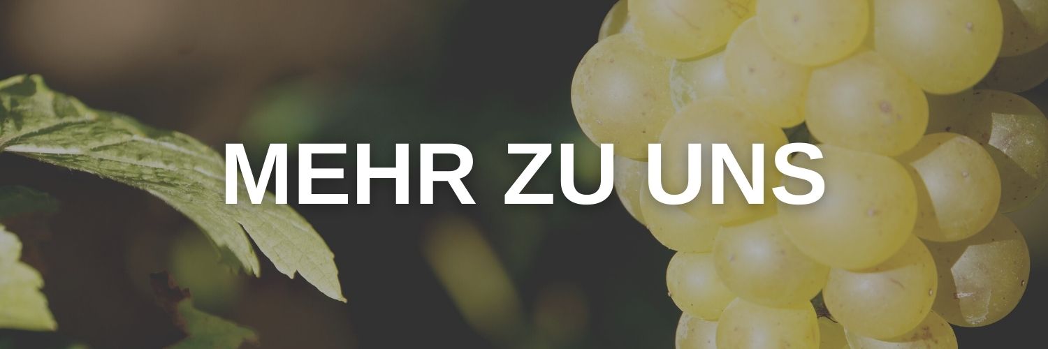 Weingut Volker Schäfer