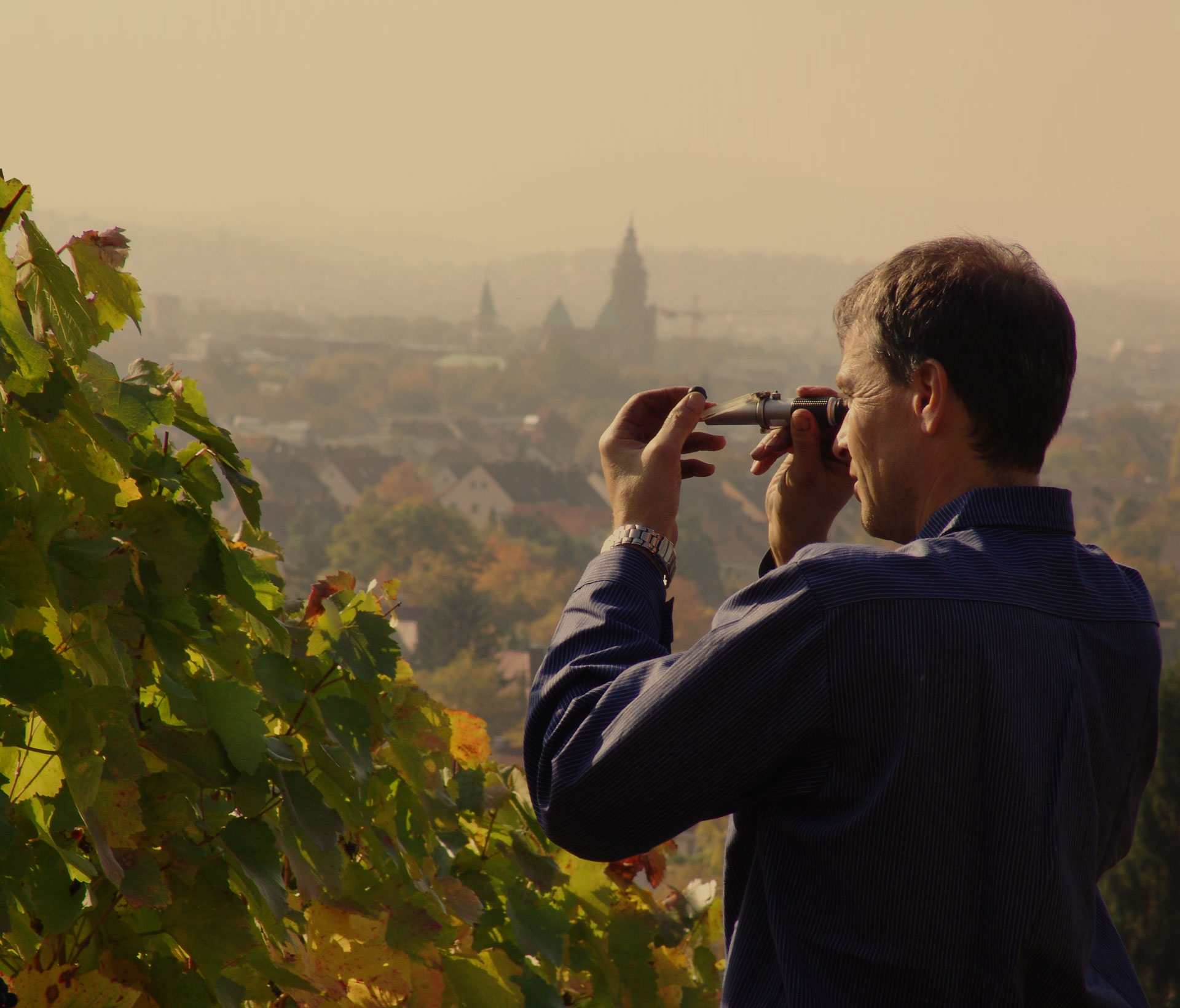 Weingut Volz