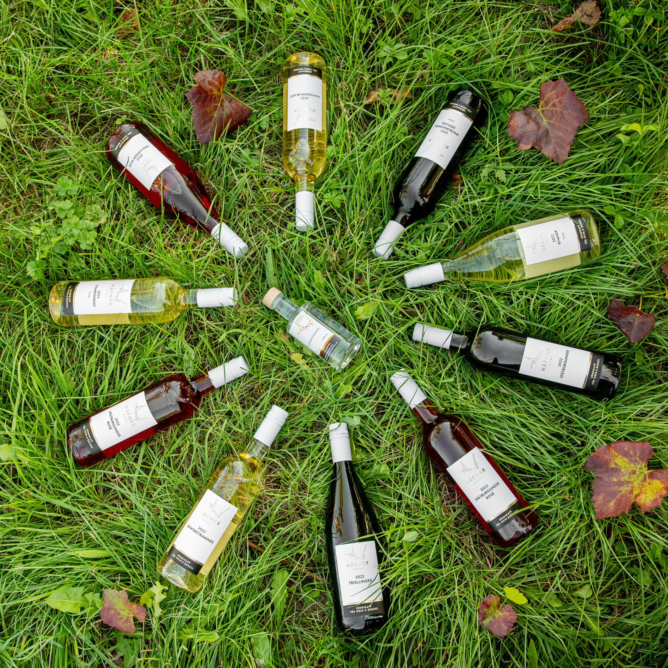Weingut W. Häfner
