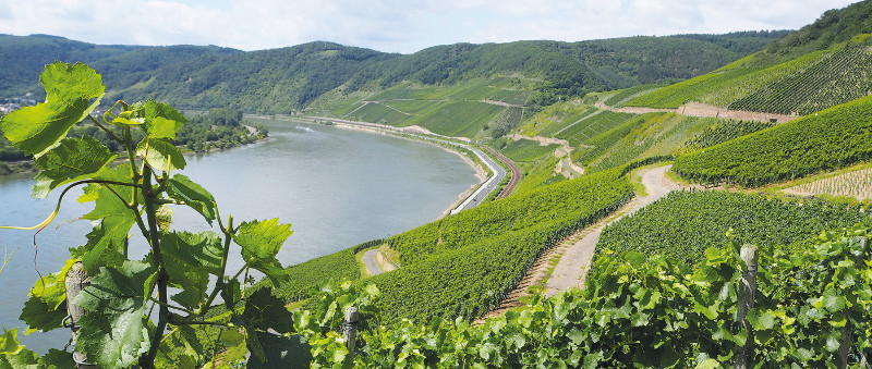 Weingut Walter Perll