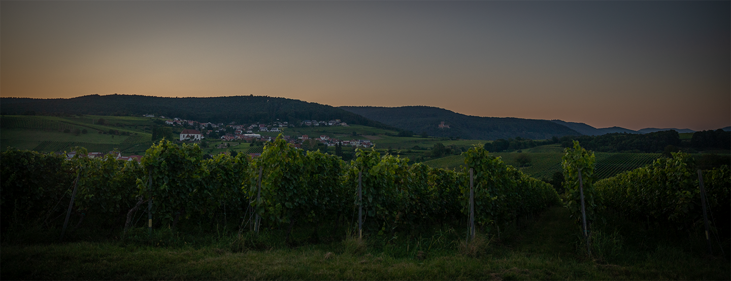 Weinkellerei Thomas Schönlaub