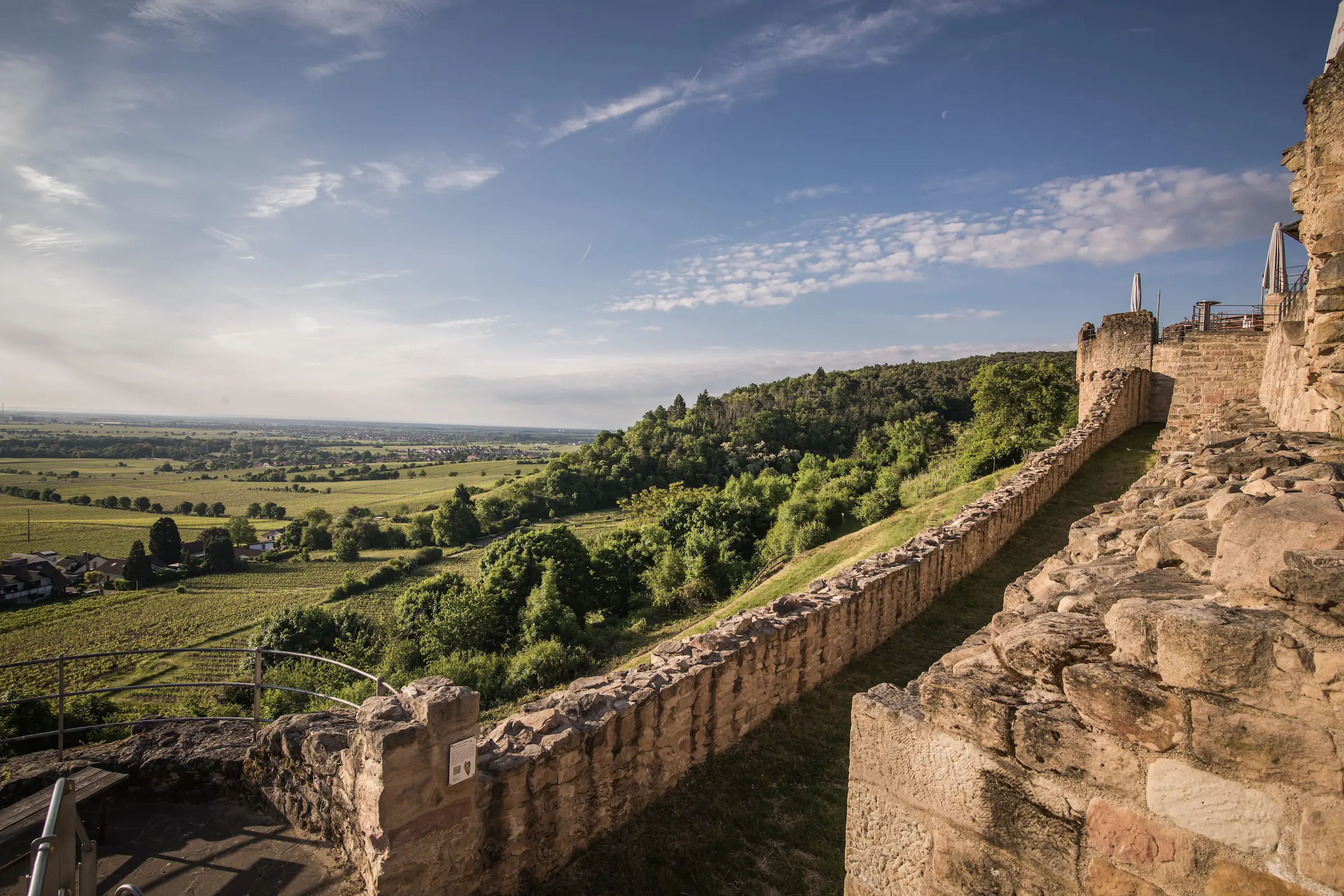 Weinland Wachtenburg eG